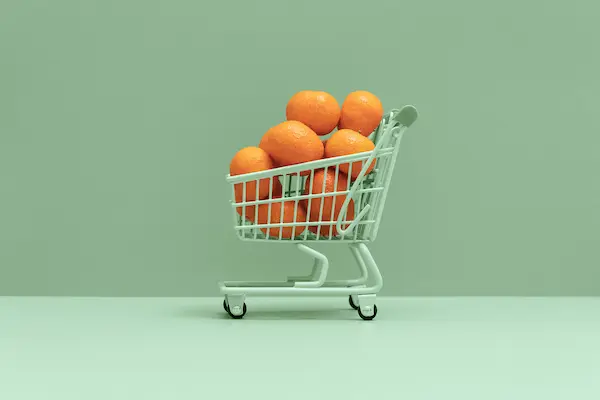 making a realistic shopping budget