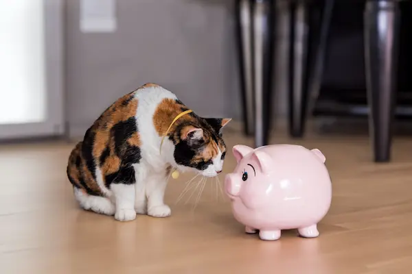 saving money on pet care