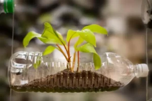 simple ways to reuse items